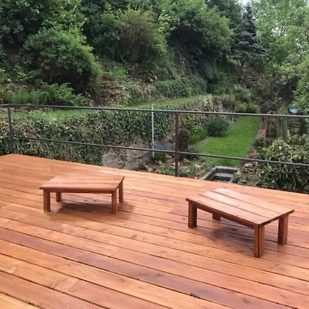 Zářečí *