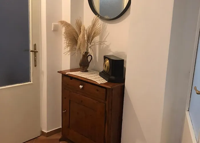 Zareci